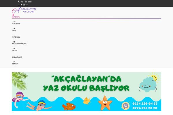 ozelakcaglayanokullari.com site used Ozel-child