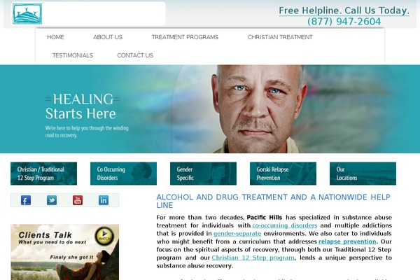 pachills.com site used Twentyfourteen-pachils