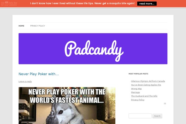 Twenty Twelve theme site design template sample