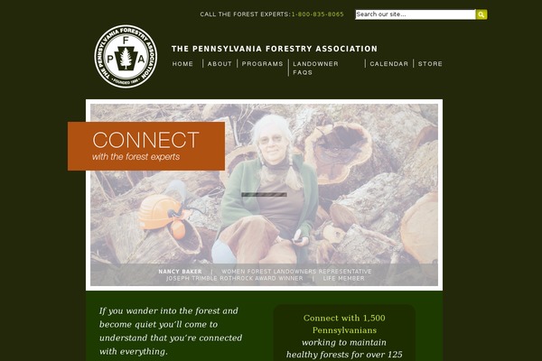 WordPress website example screenshot