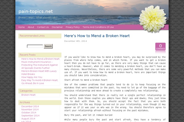 WordPress website example screenshot