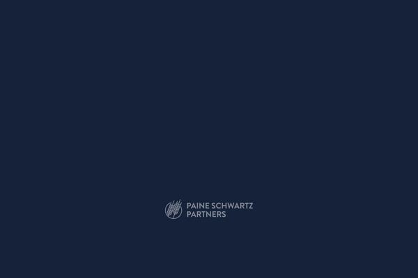 painepartners.com site used Pspartners_theme