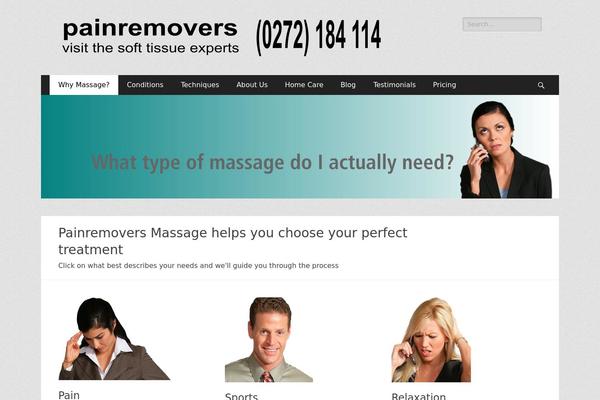 painremovers.co.nz site used Catch-responsive-pro