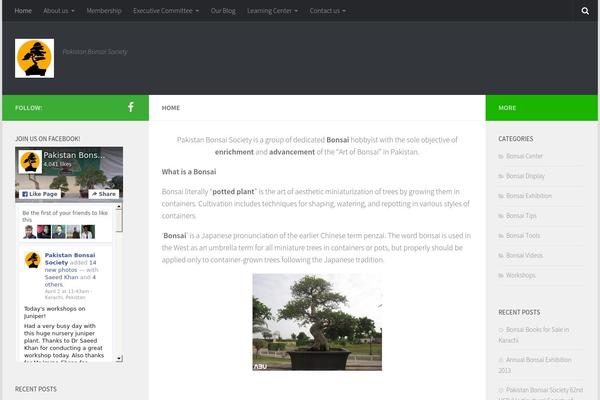 WordPress website example screenshot