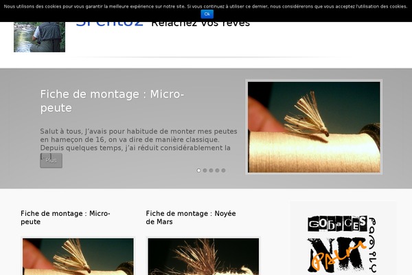 remal-child WordPress theme, websites list used remal-child theme remal-child theme websites examples