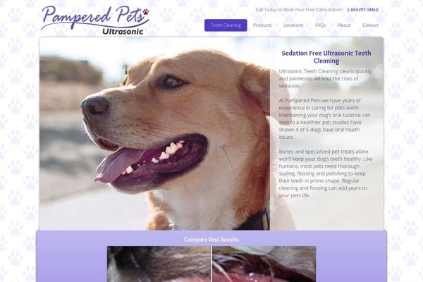 pamperedpetsultrasonic.com site used Pamperedpets