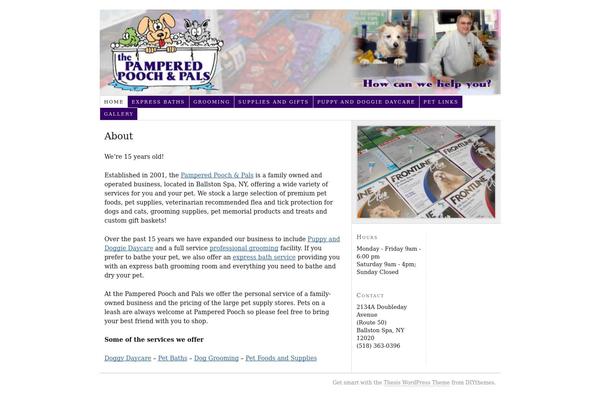 WordPress website example screenshot