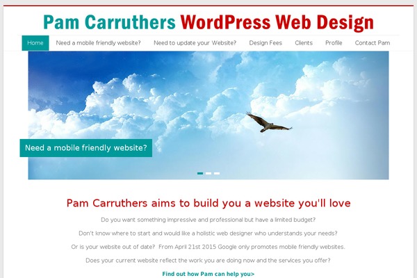 pamwebdesign.com site used Accelerate Pro
