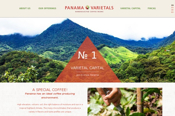 Site using Eyedea-styling plugin