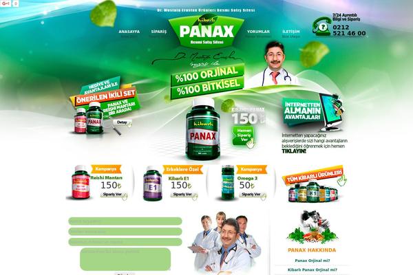 Panax theme site design template sample