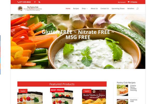 Divi theme site design template sample