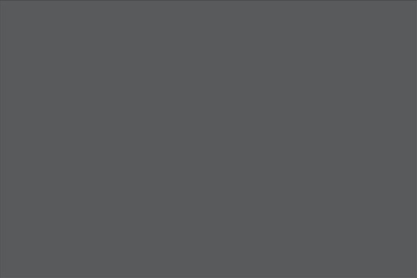 papersketchmedia.com site used Brooklyn