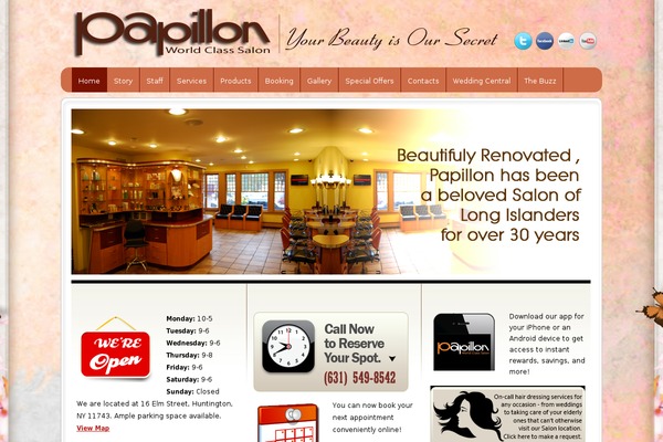 papillonsalon.net site used Thesalon