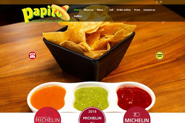 Divi theme site design template sample