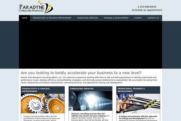 paradyneconsulting.com site used Paradyne