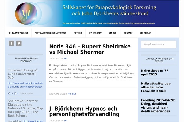 WordPress website example screenshot