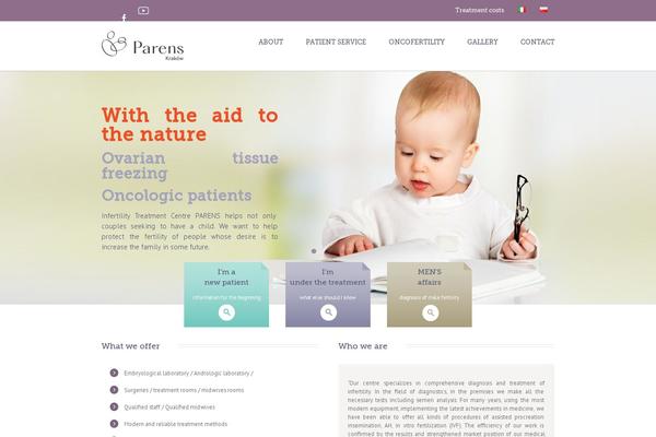 parens theme websites examples
