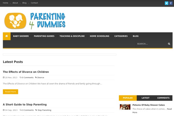 parenting4dummies.com site used Blogmag-theme