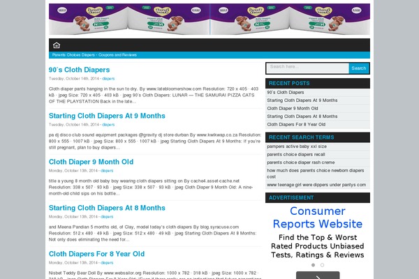 WordPress website example screenshot