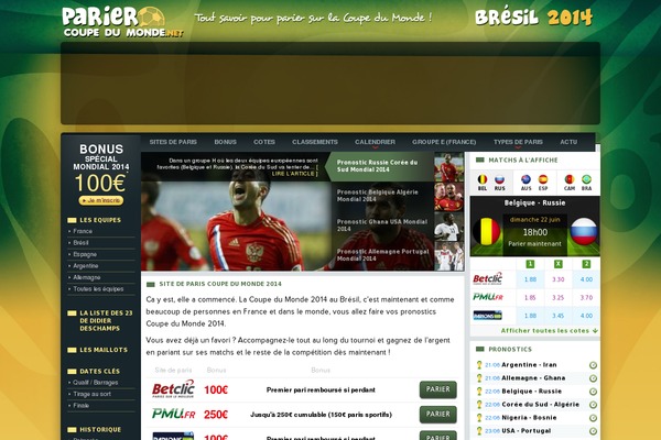 WordPress website example screenshot