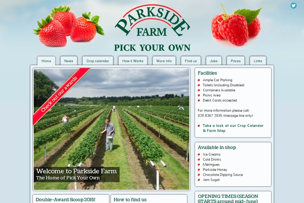 Parkside theme site design template sample