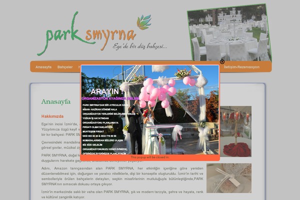 parksmyrna.com.tr site used Dyne