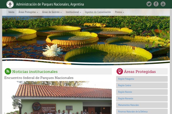 apn WordPress theme, websites list used apn theme apn theme websites examples