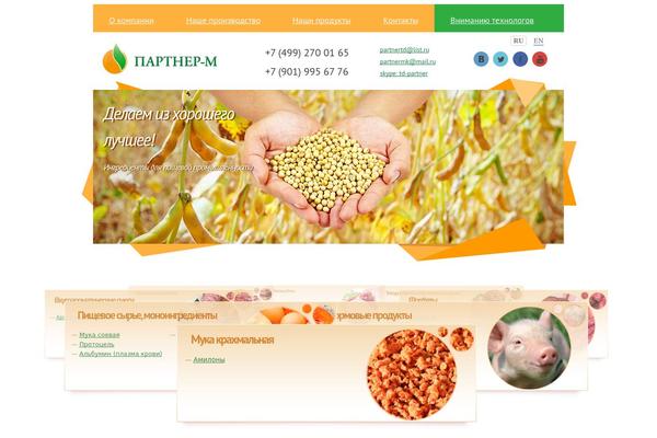partnermk.ru site used Epical