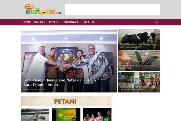 Newspaper theme site design template sample