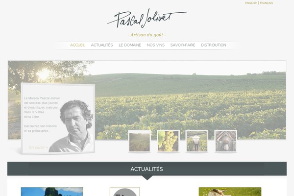 Enfold theme site design template sample