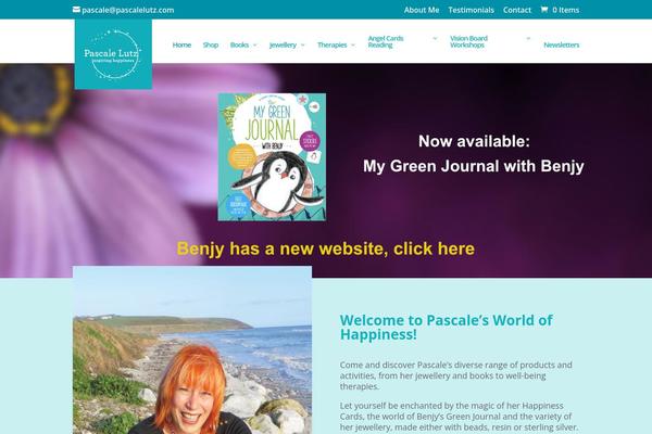 Divi theme site design template sample