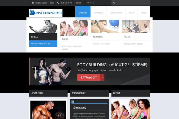 Fit Wp theme site design template sample