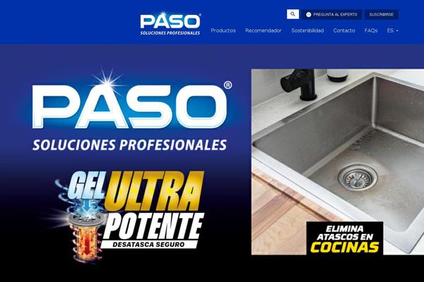 pasoprofesional.com site used Paso