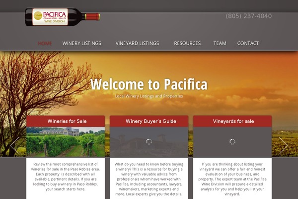 WordPress website example screenshot