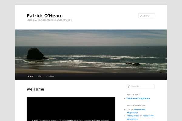 WordPress website example screenshot
