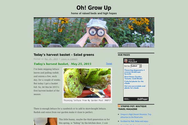 Site using My-pinterest-badge plugin