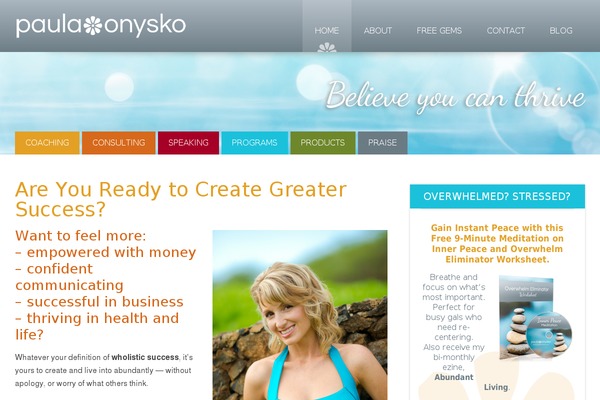 WordPress website example screenshot