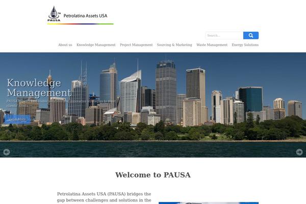 pausa.biz site used Skt_biz_pro