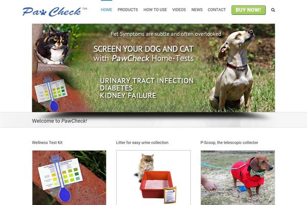 Avada theme site design template sample