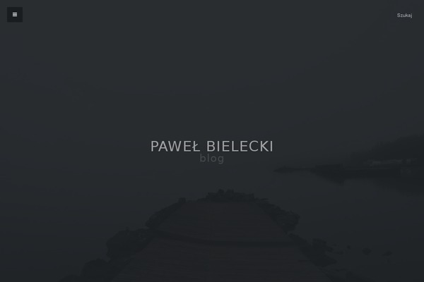pawelbielecki.in site used Bielecki