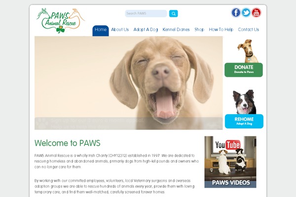 paws.ie site used Paws