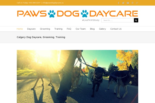 pawsdogdaycare.ca site used Pro-4
