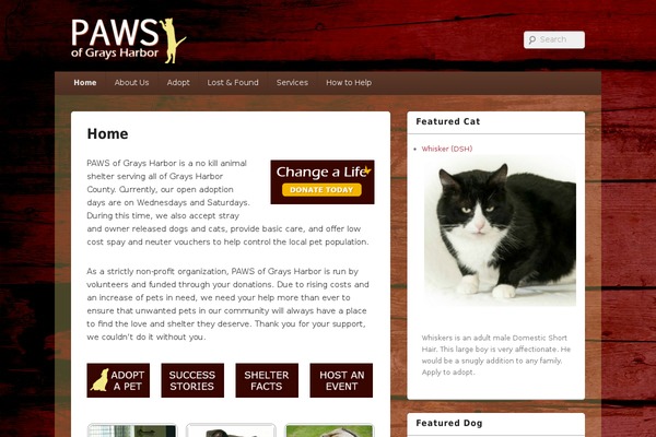 pawsgh.org site used Catch Box