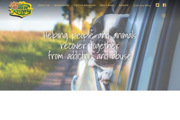 pawsitive-recovery.com site used Infinity-pro