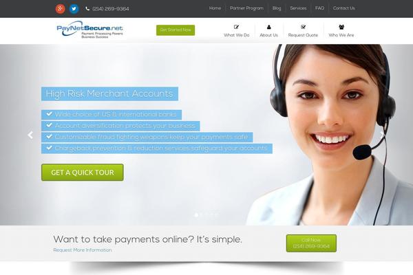 paynet theme websites examples