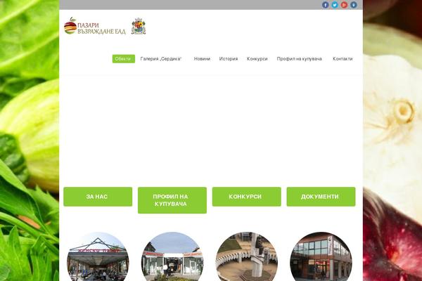 Site using Cmsmasters-mega-menu plugin