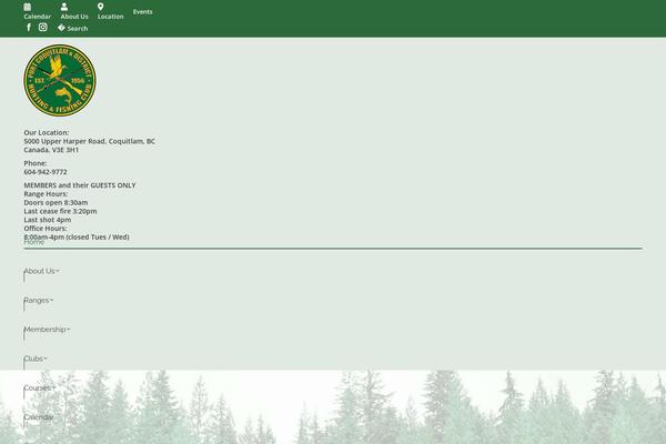 Site using Dflip plugin