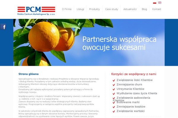 pcm.pl site used Mobcomet-templatka