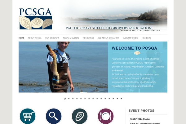 pcsga theme websites examples