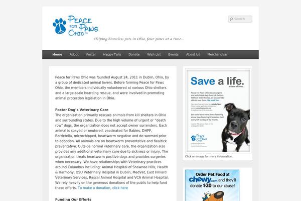 Catch Box theme site design template sample